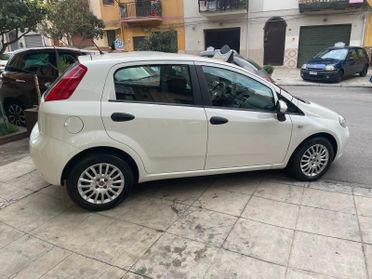 Fiat Punto 1.3 MJT II 75 CV 5 porte Street