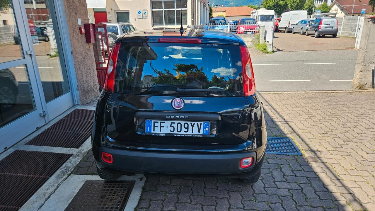 Fiat Panda 1.2 Pop 69cv NEOPATENTATI