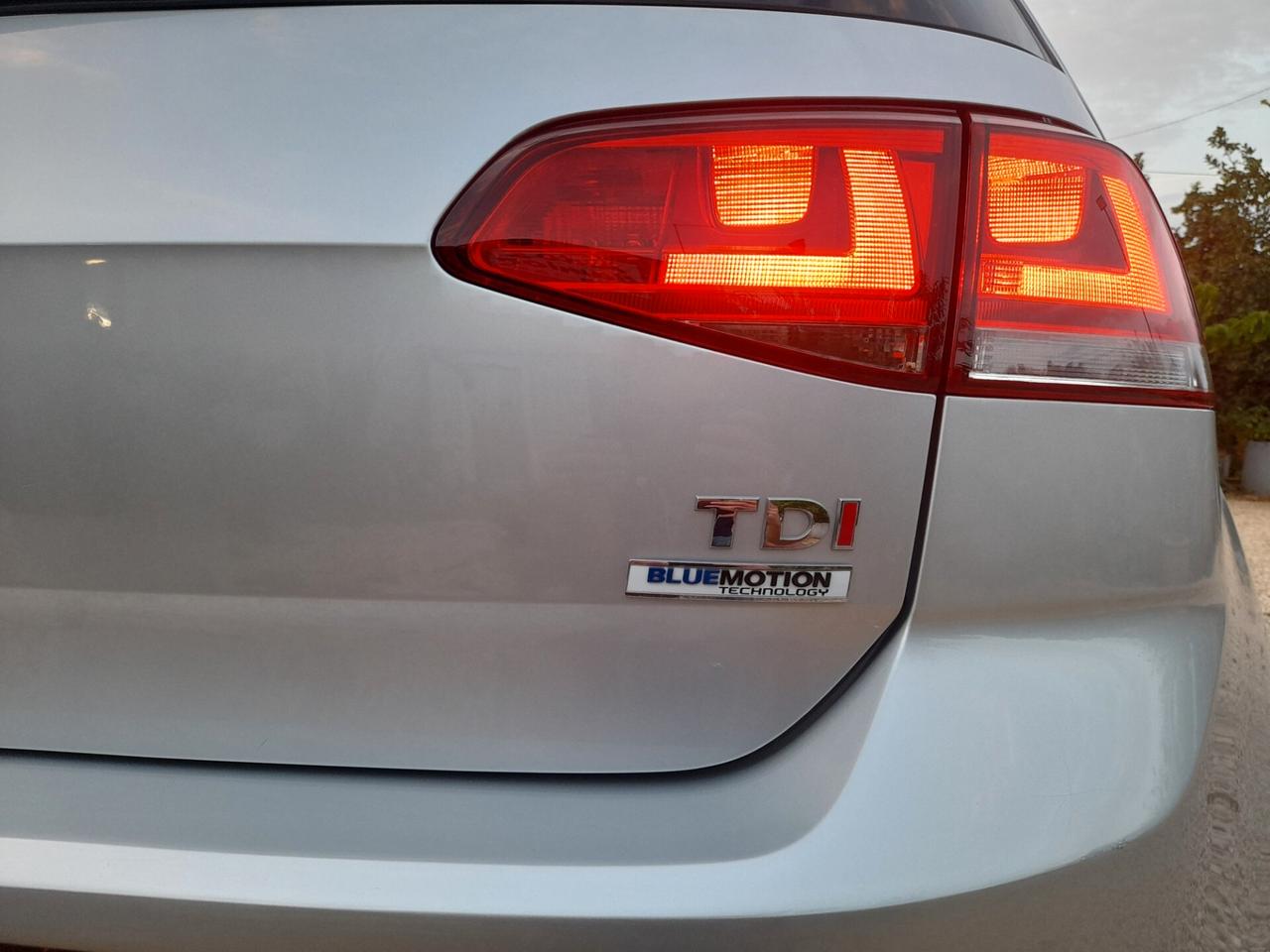 Volkswagen Golf 1.6 TDI 110 CV 5p. BlueMotion Technology