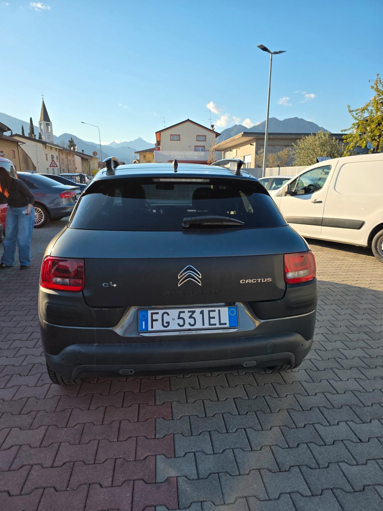 Citroen C4 Cactus BlueHDi 100 S&S ETG6 Shine