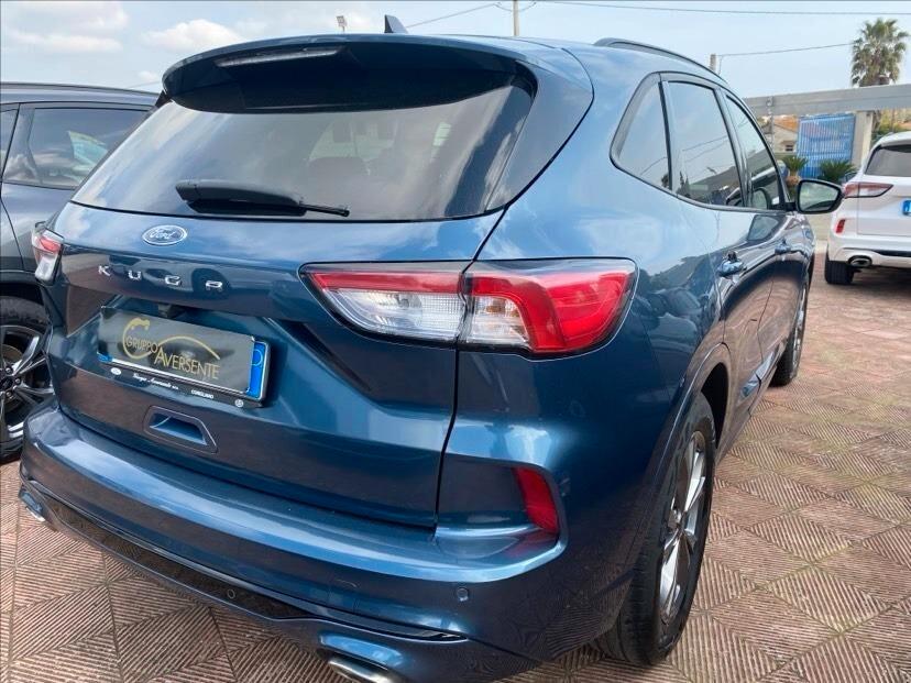 Ford Kuga 1.5 EcoBlue 120 CV 2WD ST-Line