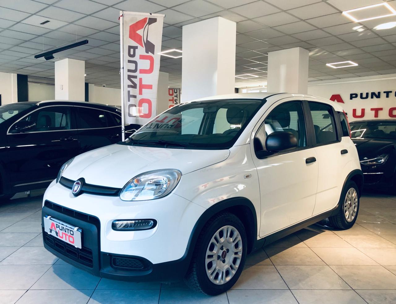 Fiat Panda 1.0 FireFly S&S Hybrid City Life