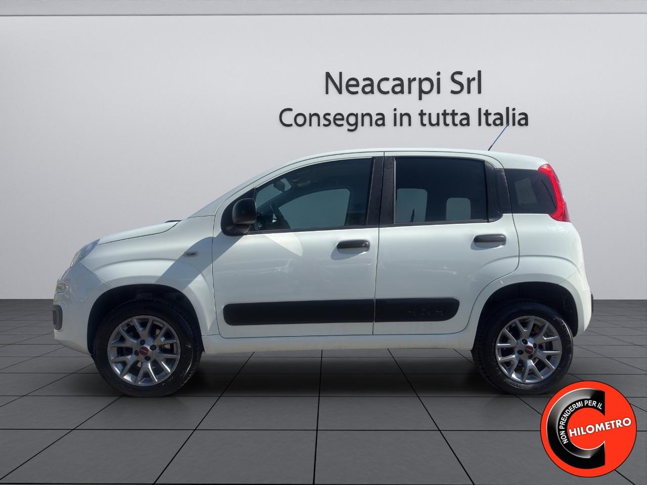Fiat Panda VAN 4X4 1.3 MJT 80 CV-AUTOCARRO N1 2 POSTI-E6B+IVA