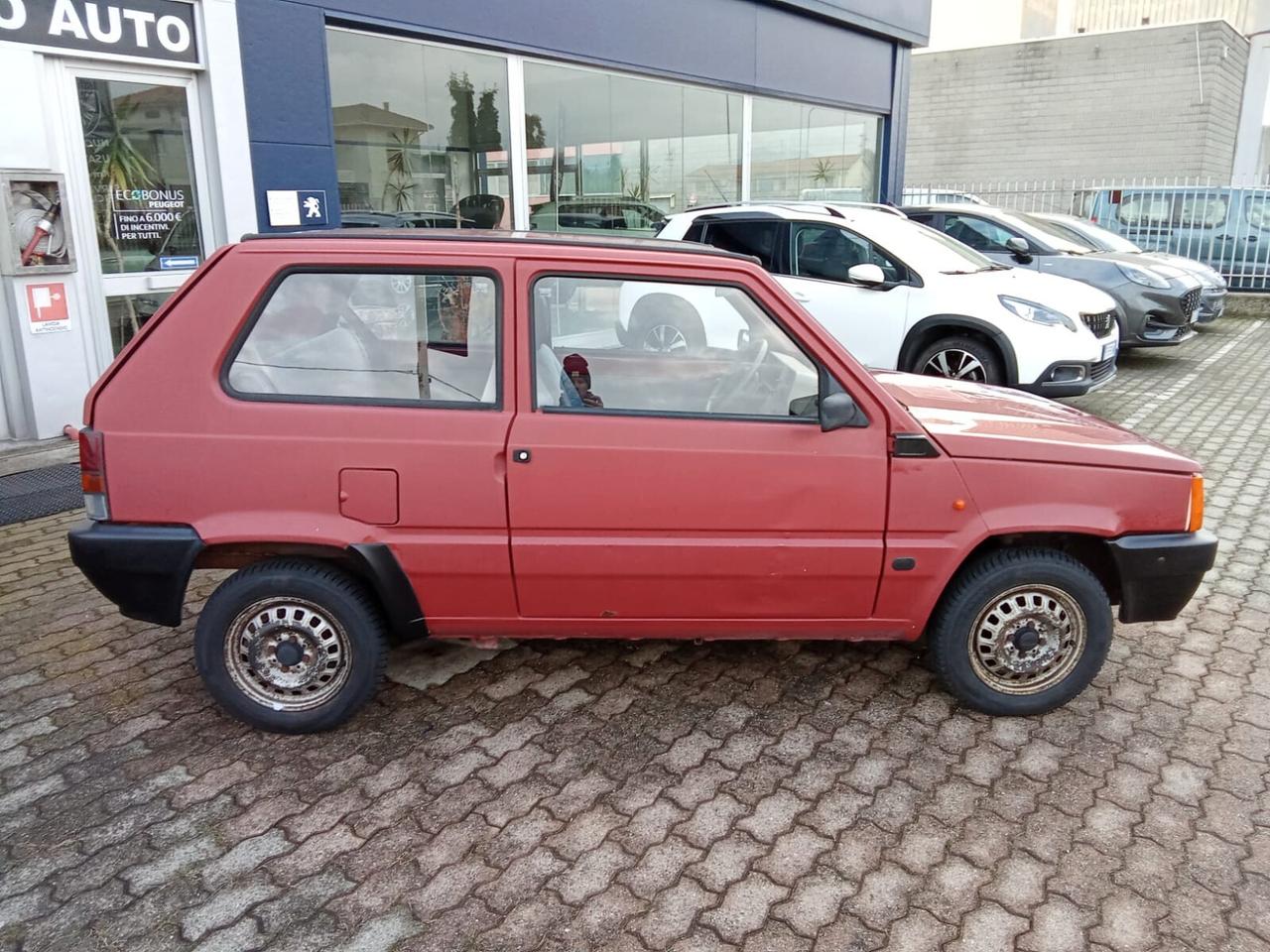 Fiat Panda 1100 i.e. cat Young