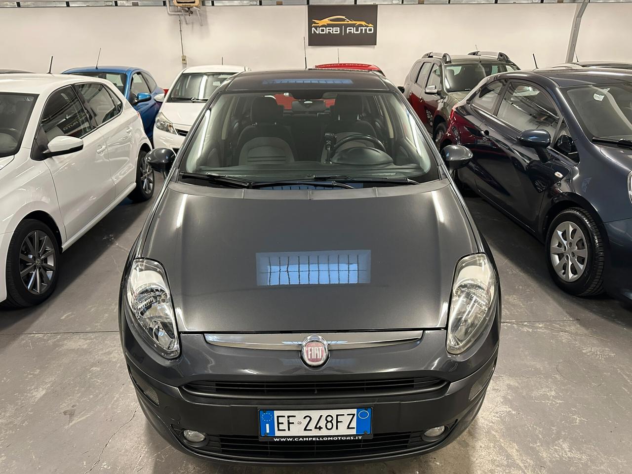 Fiat Punto Evo Punto Evo 1.4 5 porte Dynamic