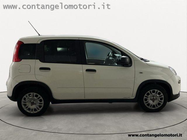 FIAT Panda 1.0 S&S Hybrid Van 2 posti