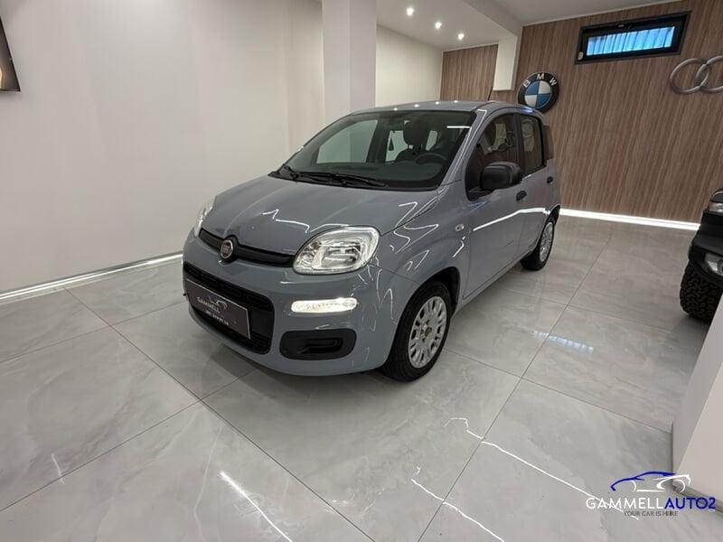 FIAT Panda Panda 1.2 Easy