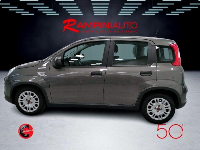 FIAT Panda 1.0 FireFly Hybrid Km 34.000 Pronta Consegna