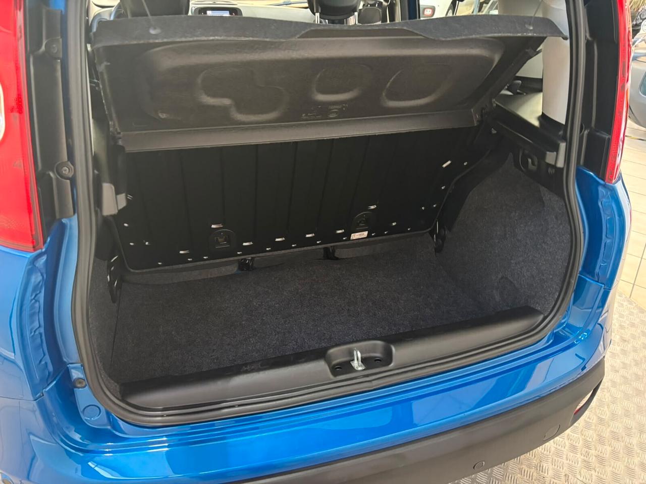 Fiat Panda 1.0 FireFly S&S Hybrid Pandina Icon