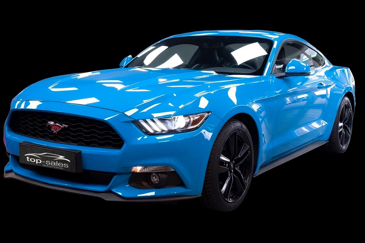 FORD MUSTANG COUPE PERFETTA CV 317