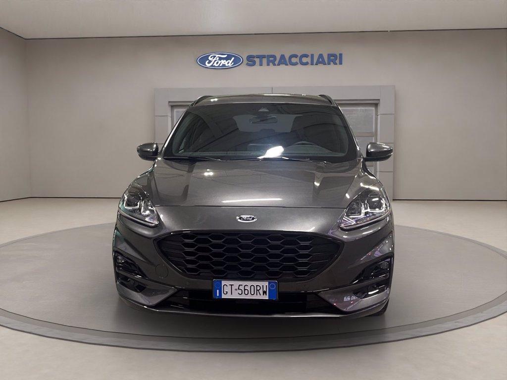 FORD Kuga 1.5 ecoblue ST-Line 2wd 120cv auto del 2024