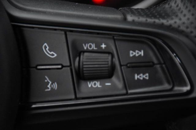 ALFA ROMEO Stelvio 2.2 Turbodiesel 190 CV AT8 Q4 *PELLE*TETTO*CAM*