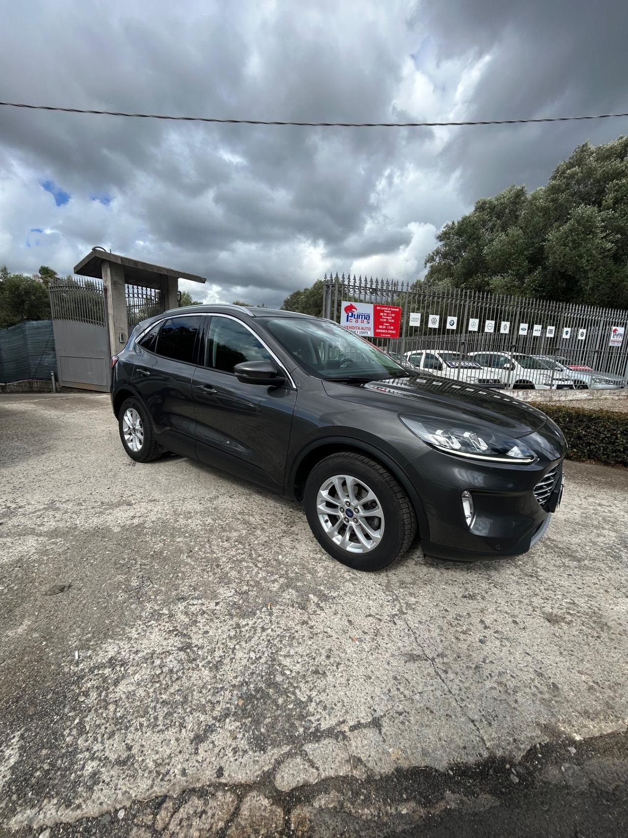 Ford Kuga 1.5 EcoBlue 120 CV 2WD ST-Line X