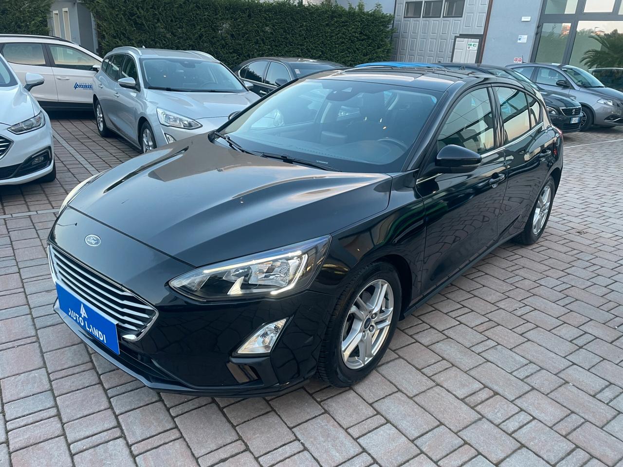 Ford Focus 1.5 EcoBlue 120 CV automatico 5p. Business Co-Pilot