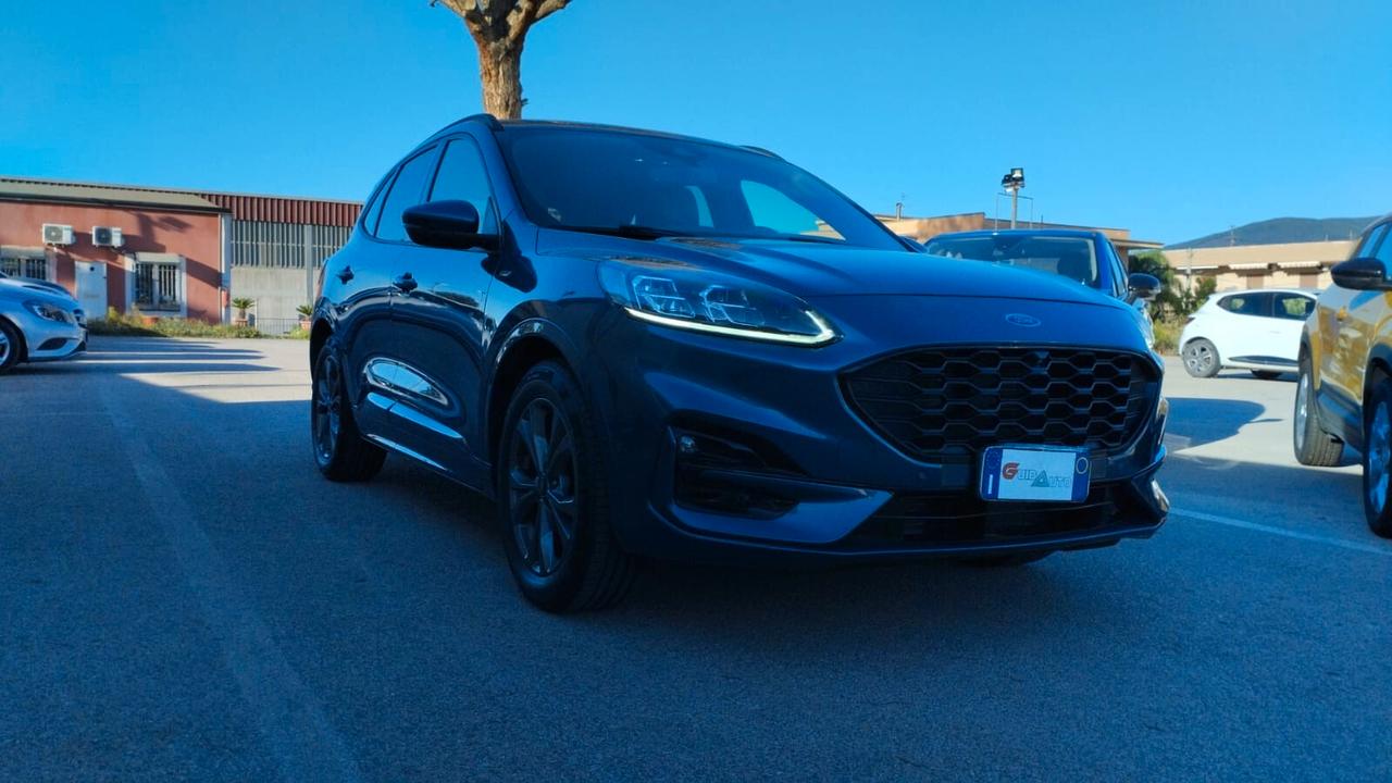 Ford Kuga 1.5 EcoBlue 120 CV 2WD ST-Line X