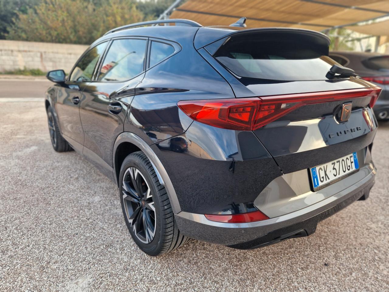 Cupra Formentor 2.0 TDI 4Drive DSG