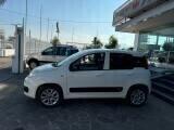 Fiat NEW Panda 1.2 BONUS GPL SOLI 38.000KM