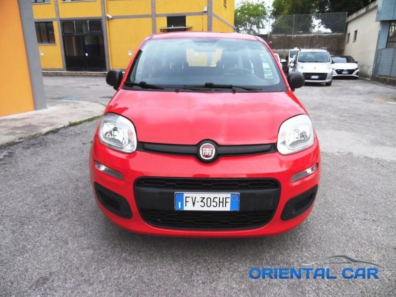 FIAT Panda Panda 1.2 IN OTTIME CONDIZIONI