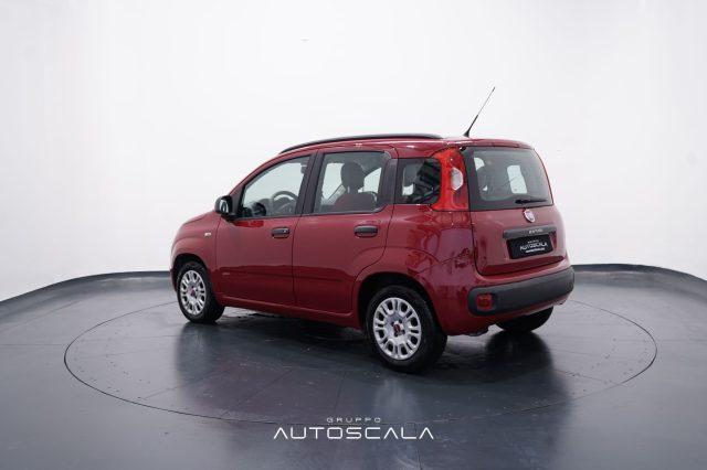 FIAT Panda 1.2 69cv Easy
