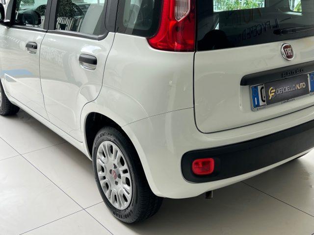 FIAT Panda 1.2 EasyPower gpl da ?119,00 mensili