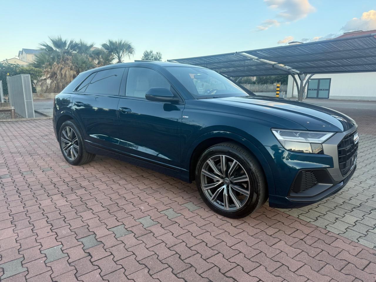 Audi Q8 50 TDI 286 CV quattro tiptronic