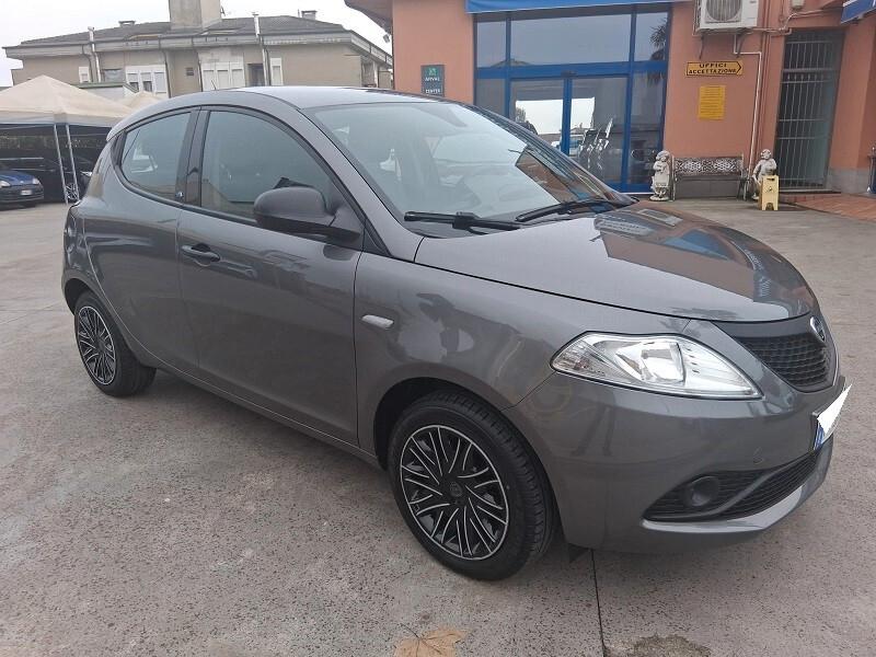 Lancia Ypsilon 1.2 69 CV 5 porte GPL Ecochic Elefantino Blu