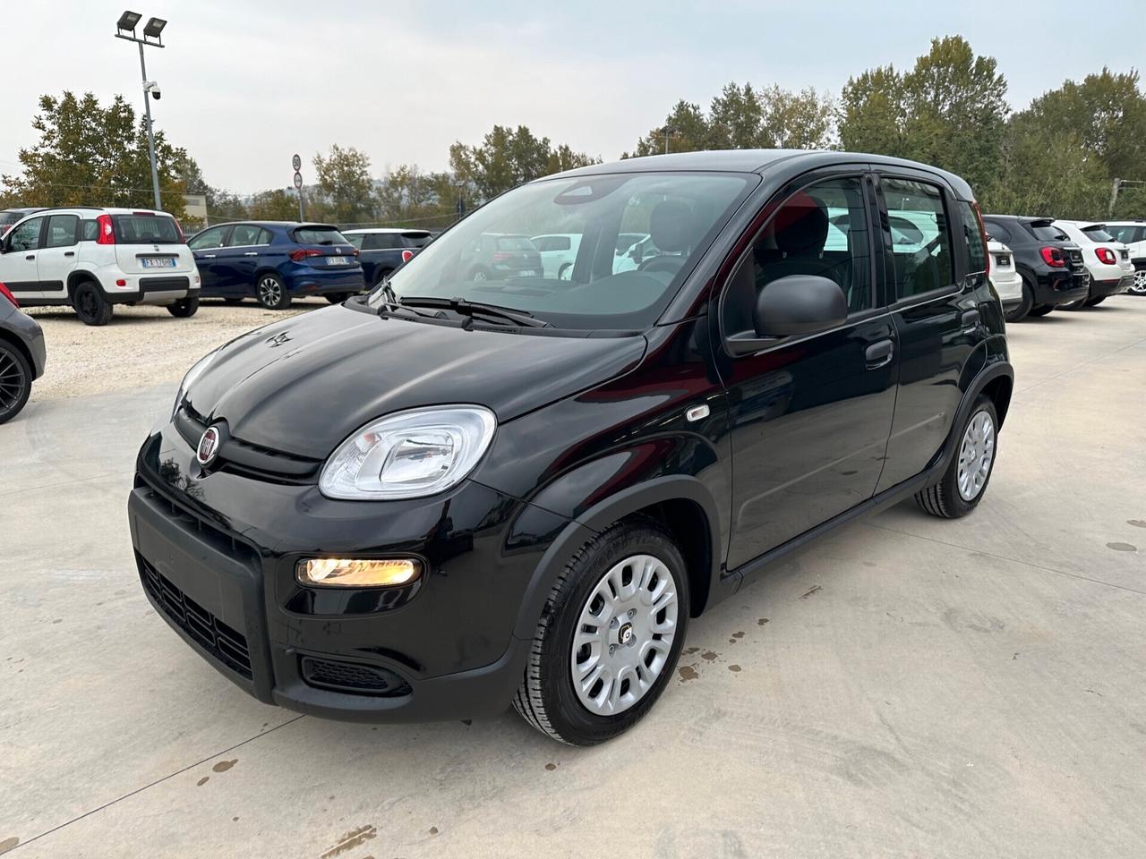 Fiat Panda 1.0 Hybrid ADAS PANDINA KM0