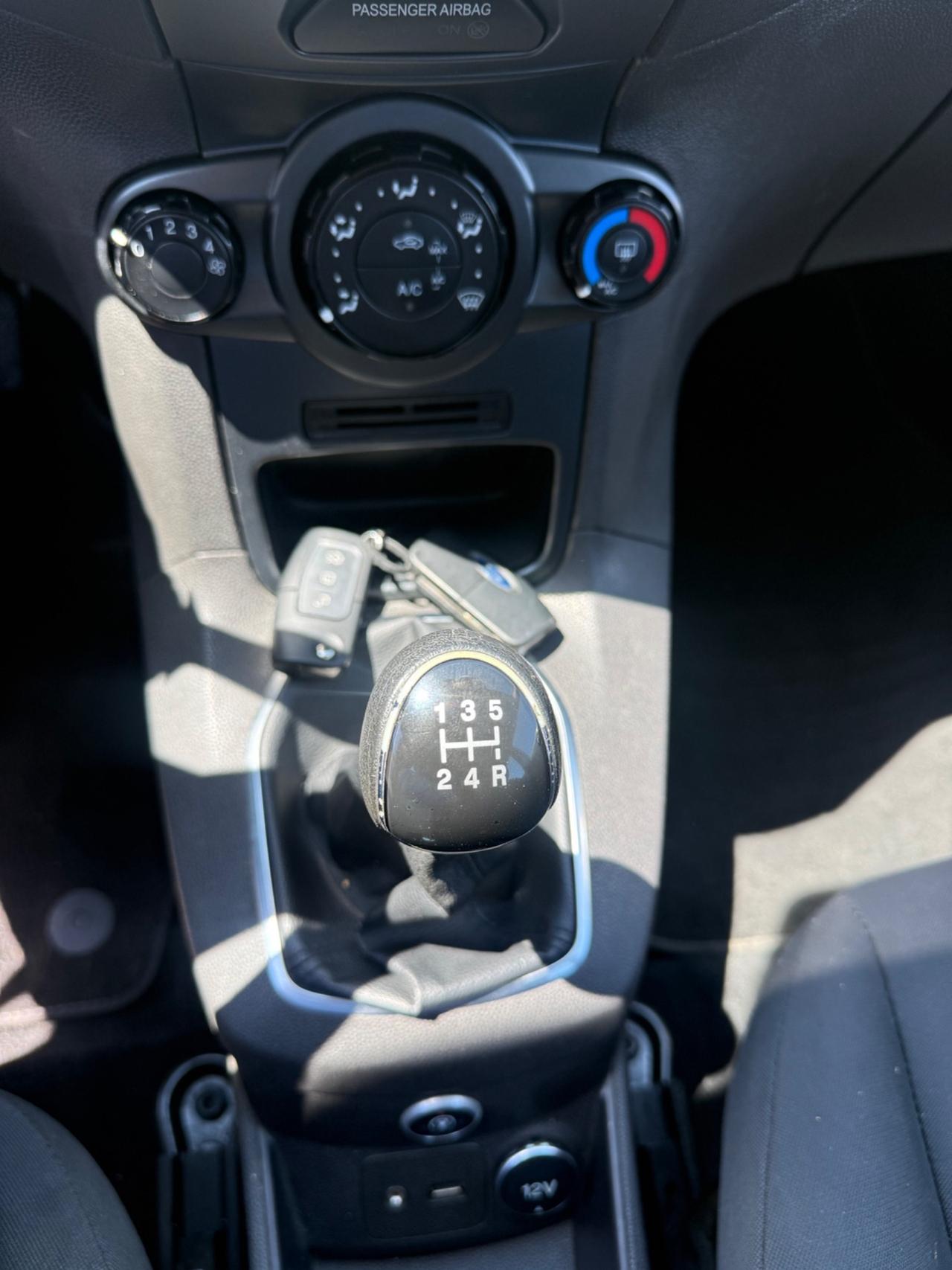 Ford Fiesta 1.4 5 porte Bz.- GPL Black & White Edition