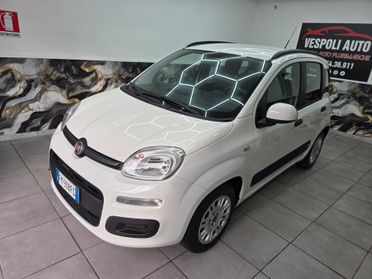 Fiat Panda cl 1.2 69cv BENZINA