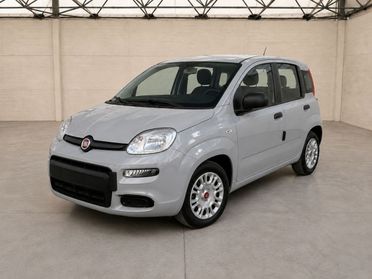 FIAT Panda III 2021 - Panda 1.0 firefly hybrid s&s 70cv