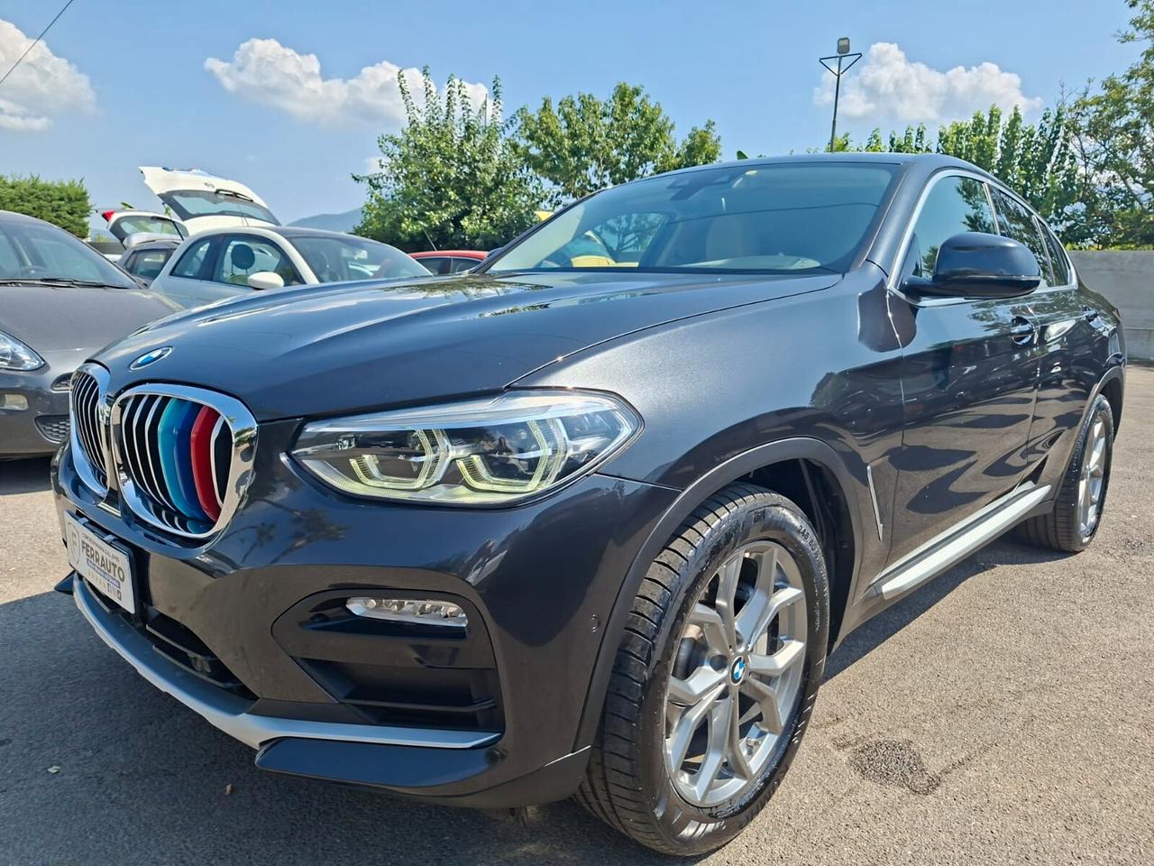 Bmw X4 xDrive25d