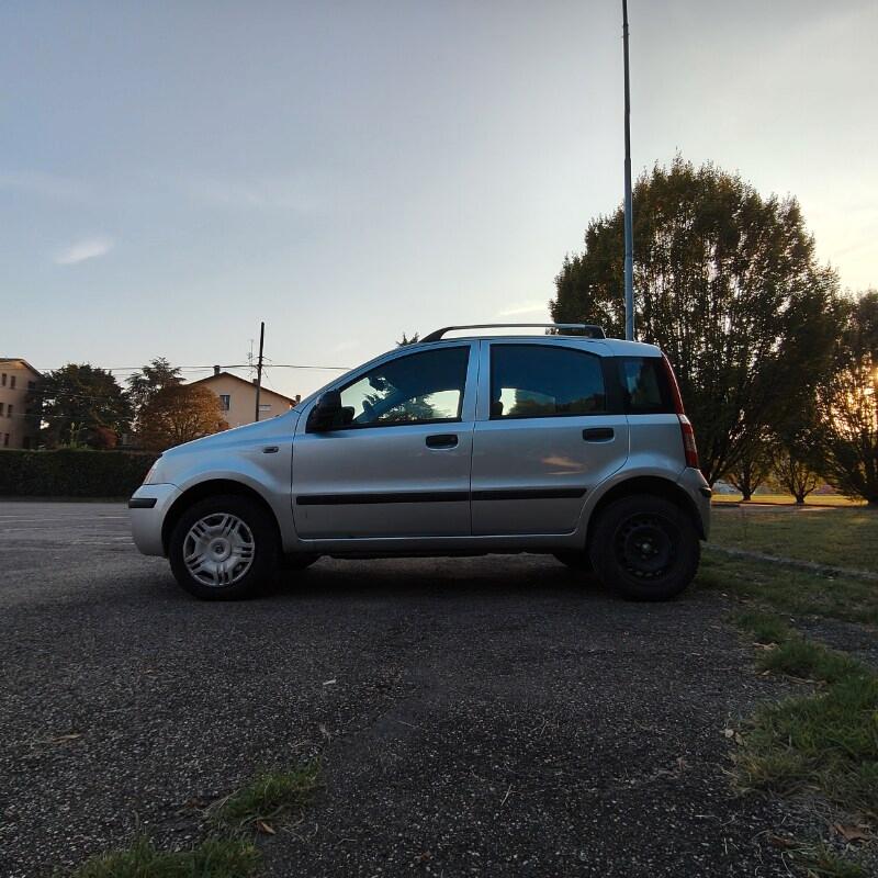 FIAT Panda 2ª serie Panda 1.2 Active Natural P...