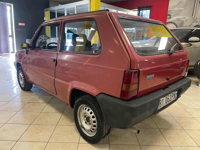 FIAT Panda 1ª serie 1100 i.e. cat College
