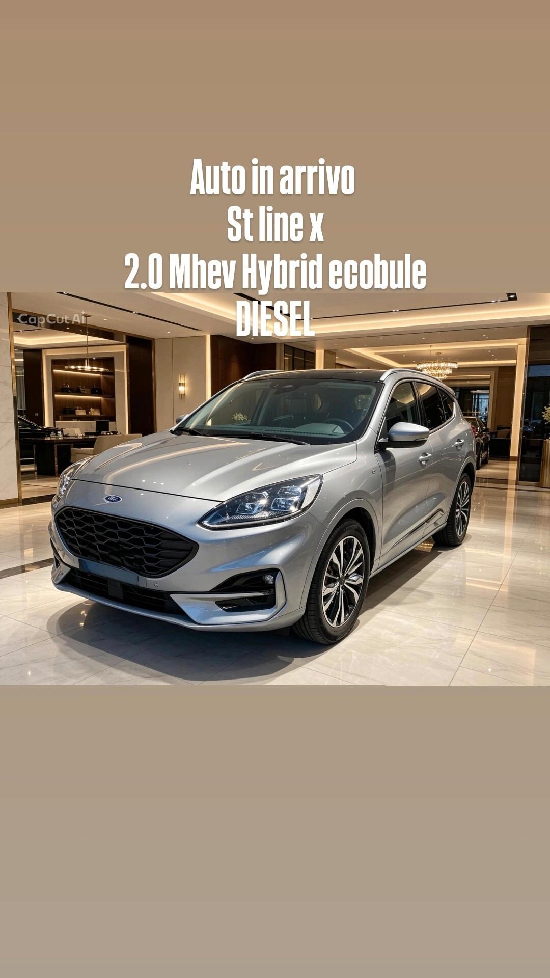 Ford Kuga 2.0 EcoBlue Hybrid 150 CV 2WD Titanium X