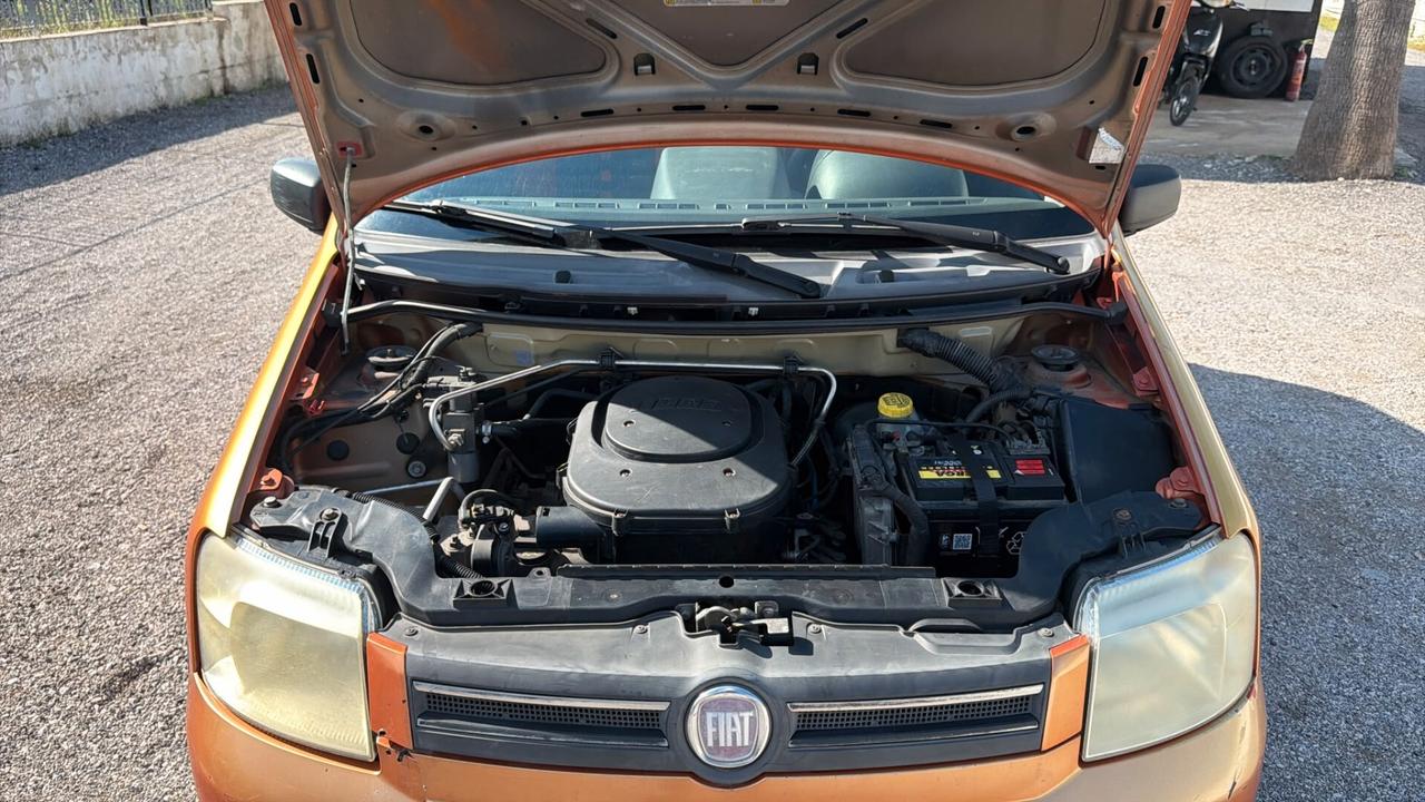 Fiat Panda 1.2 Climbing Natural Power