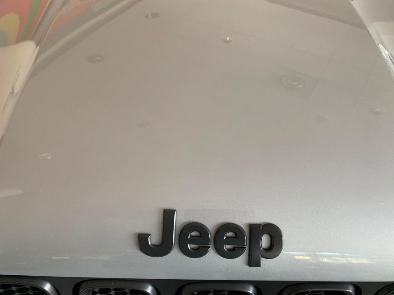 Jeep Renegade 2.0 mjt Trailhawk 4wd 170cv auto