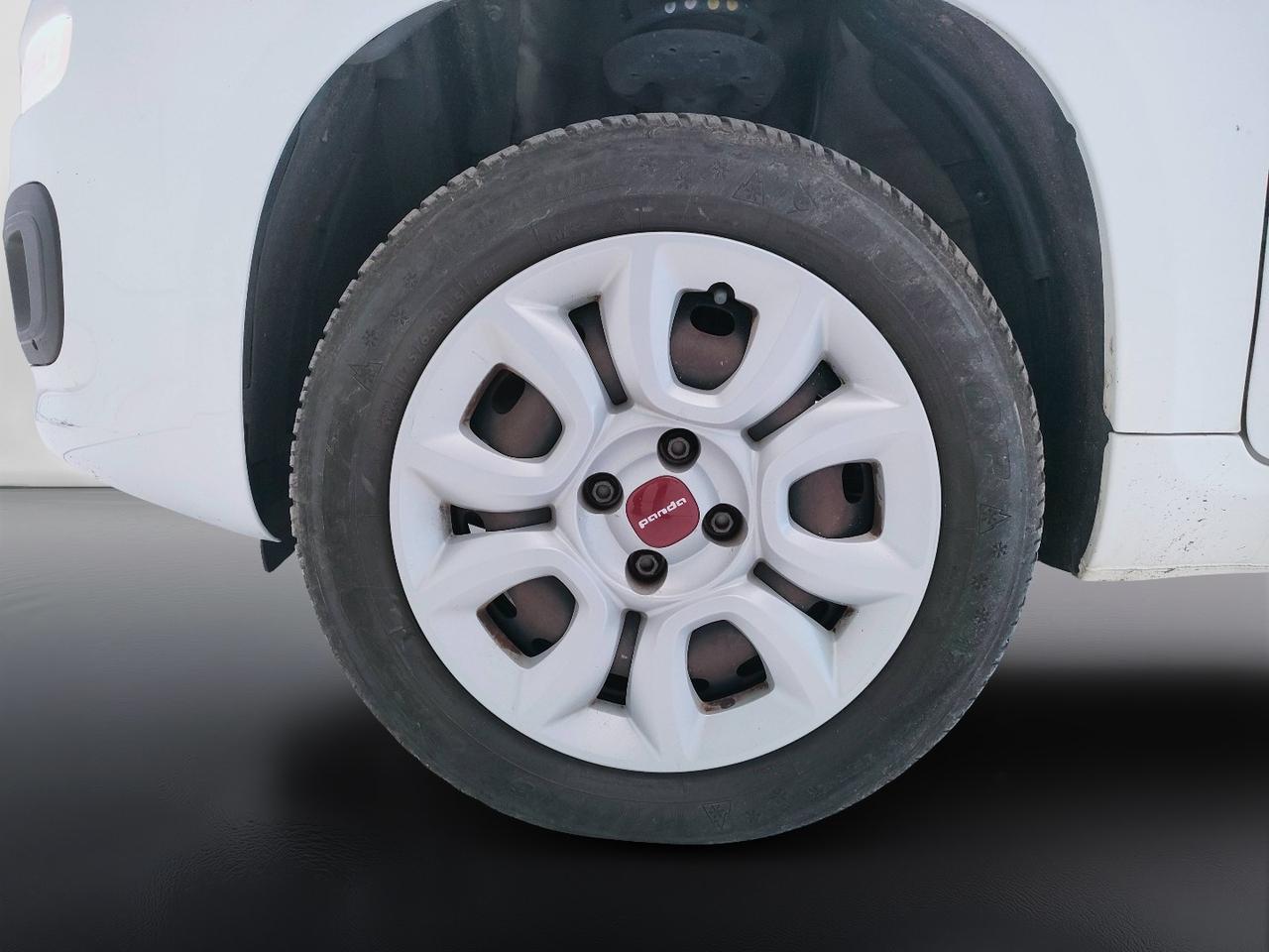 FIAT Panda III 2016 - Panda 0.9 t.air t. natural power Easy 80cv my19