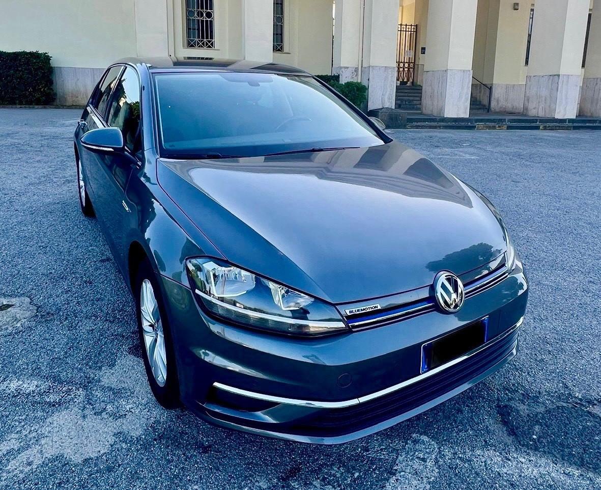 Volkswagen Golf 1.5 TGI 5p. Executive BlueMotion