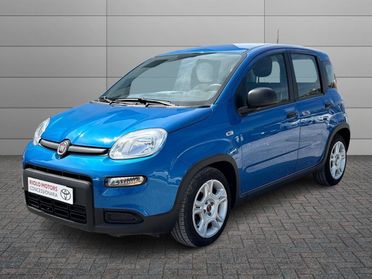 FIAT Panda III 2021 - Panda 1.0 firefly hybrid s&s 70cv