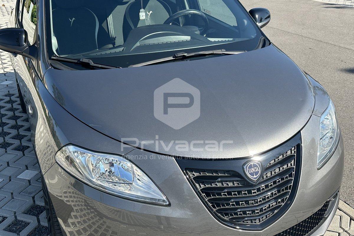 LANCIA Ypsilon 1.2 69 CV 5 porte Elefantino