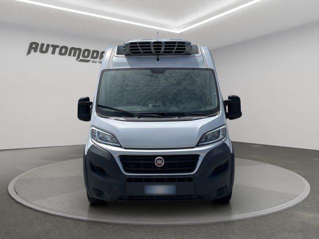 FIAT Ducato MAXI FRIGO CON PEDANA