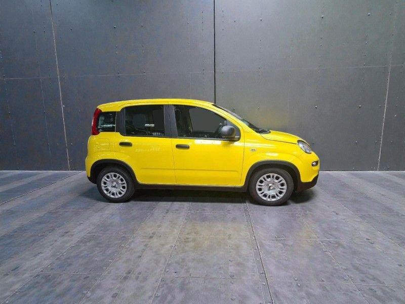 FIAT Panda Panda 1.0 FireFly S&S Hybrid Pop