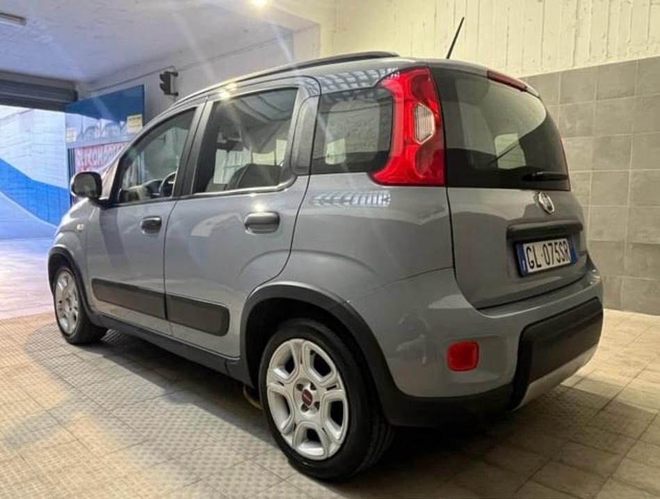 Fiat Panda 1.0 FireFly S&S Hybrid