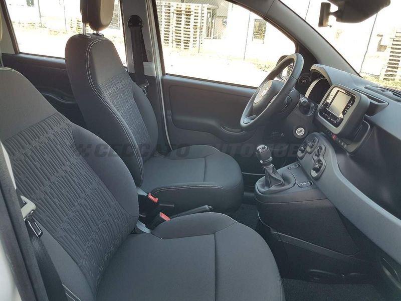 FIAT Panda Panda 1.0 firefly hybrid s&s 70cv 5p.ti
