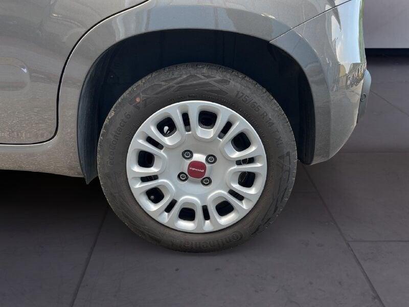 FIAT Panda III 2021 1.2 easypower City Life Gpl s&s 69cv
