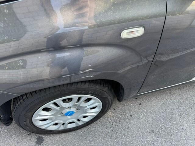 FIAT Panda 3ª serie Panda 1.2 Pandazzurri