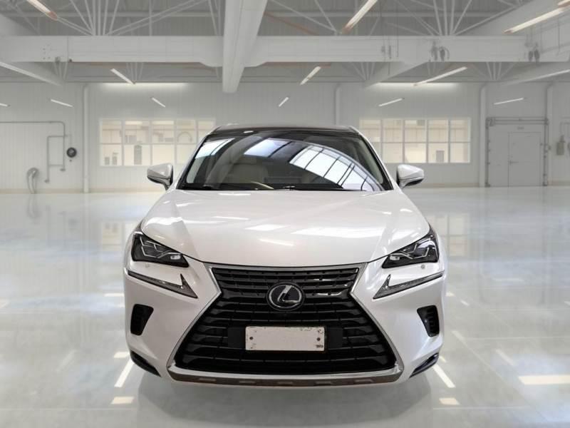 Lexus NX 300 300 2.5 Hybrid Luxury 4WD CVT