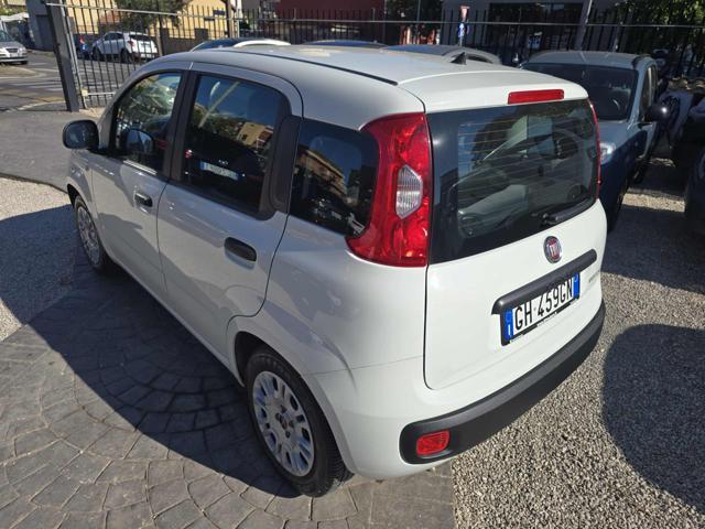 FIAT Panda 1.0 FireFly S&S Hybrid Eas 5 posti no obbligo fina