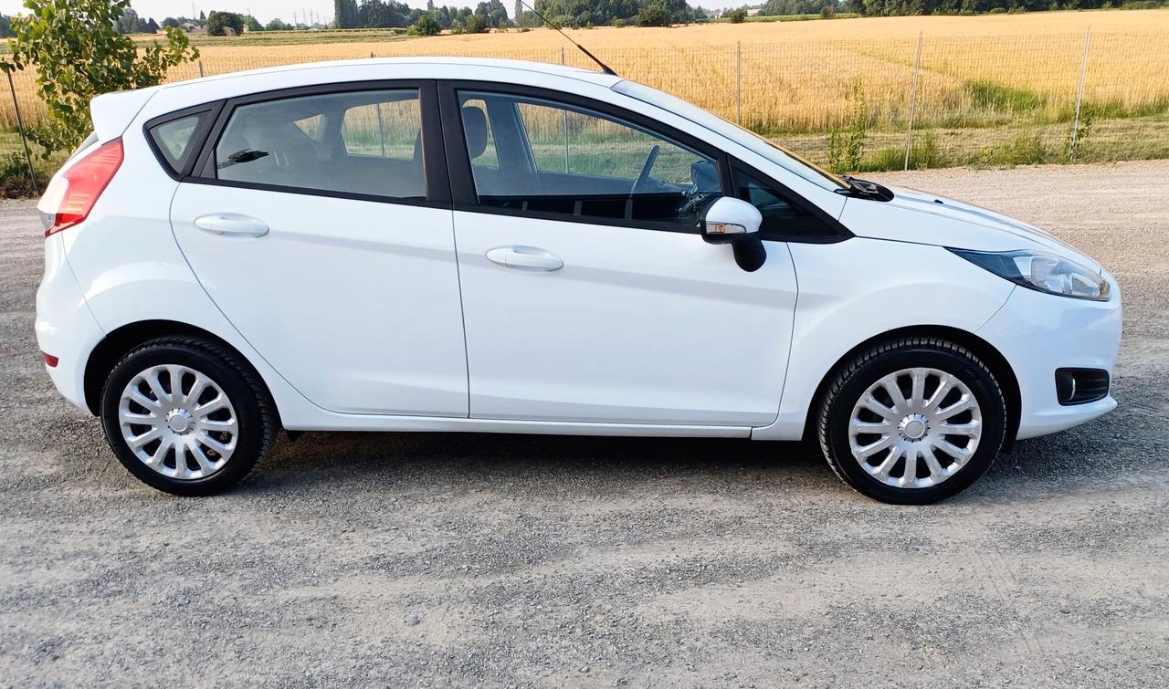 Ford Fiesta 1.4 5 porte Bz.- GPL Black & White Edition