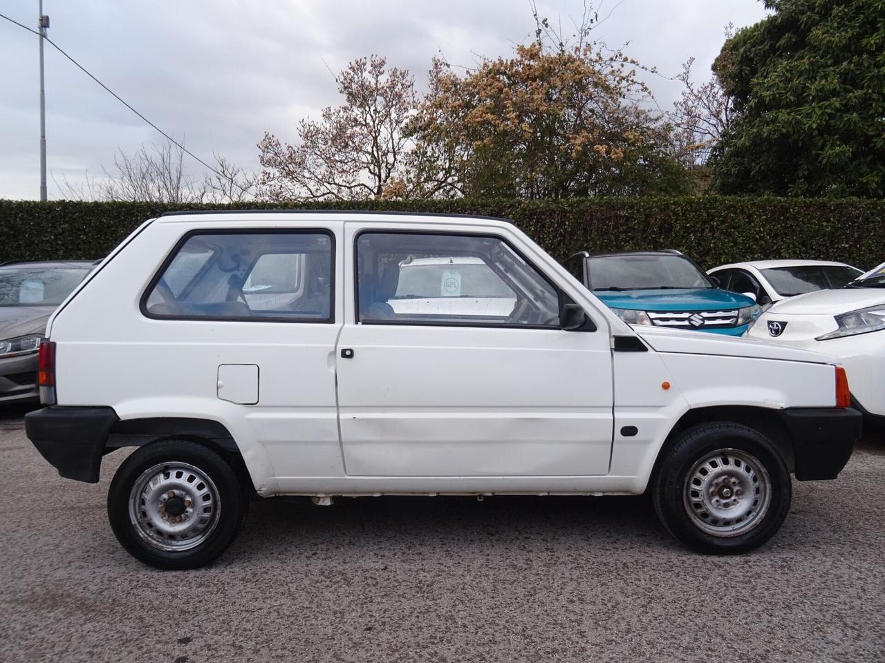 Fiat Panda 1100 i.e. cat Young
